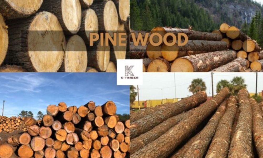 pine wood 