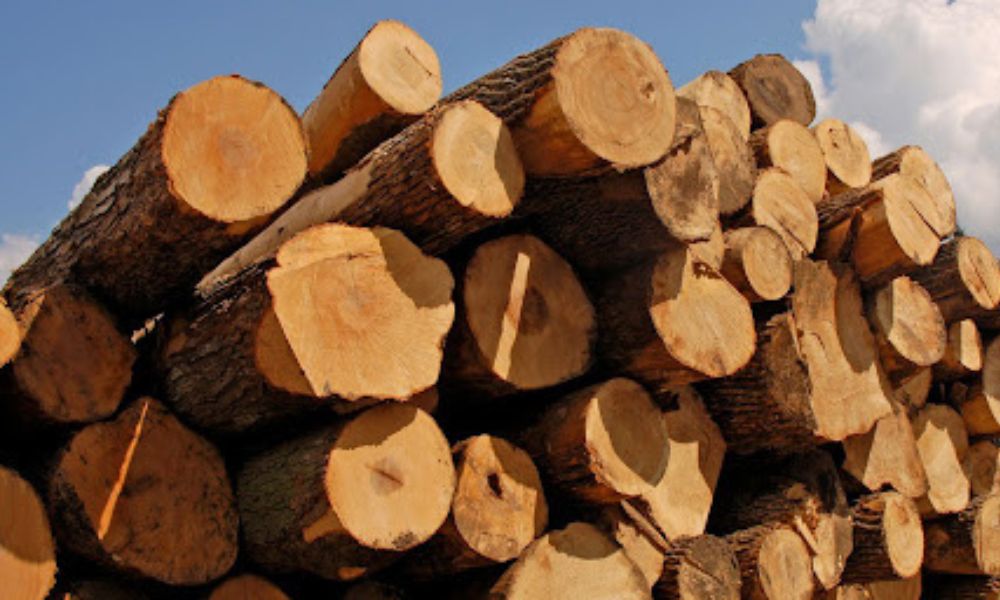Wood Sourcing Works in Bangladesh